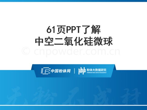 61PPT˽пն΢