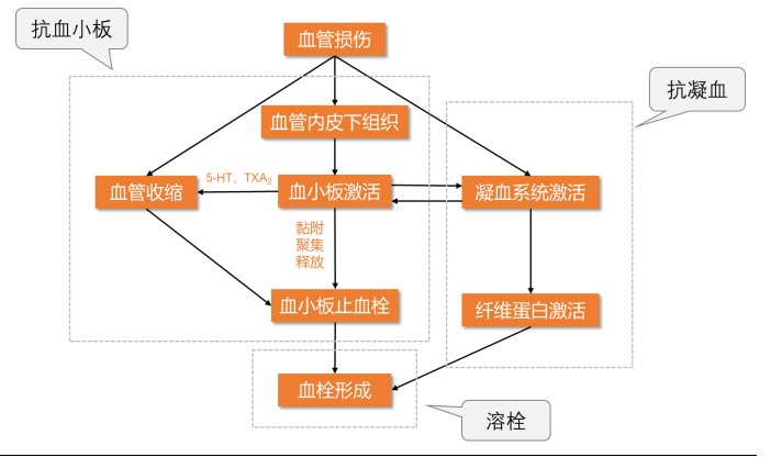 血栓形成機(jī)制及抗血栓用藥分類