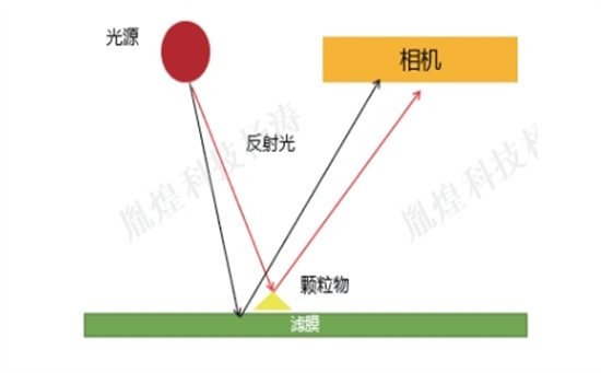 顯微計數(shù)法.jpg